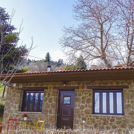 Вилла Γήλοφος Ано-Трикала Экстерьер фото