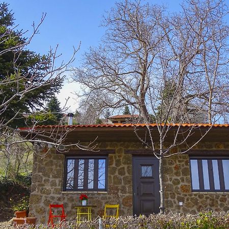 Вилла Γήλοφος Ано-Трикала Экстерьер фото